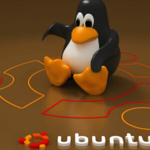 Leia mais sobre o artigo Atualização de meu Servidor Web Ubuntu